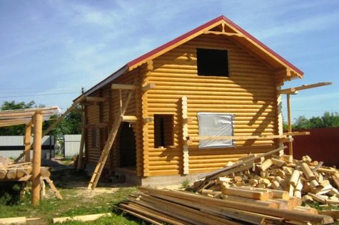 derevo-3